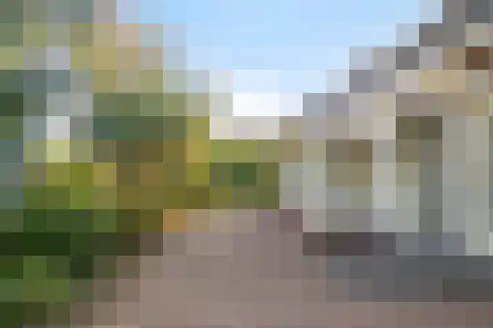 Afgeslechtedijk 29 Steenbergen thumbnail 37