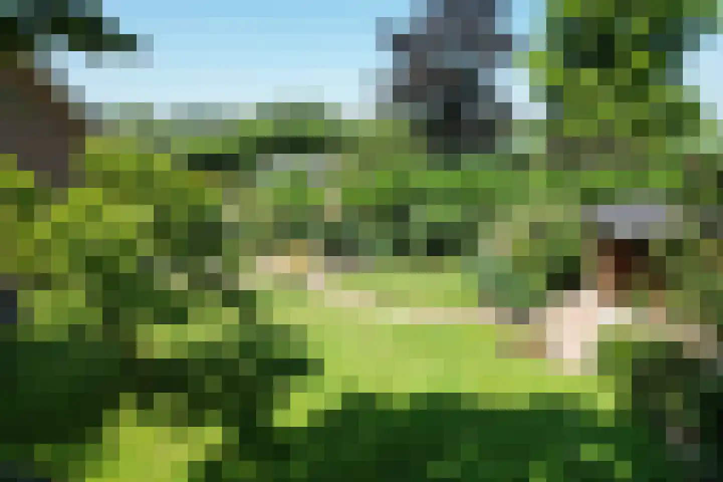 Afgeslechtedijk 29 Steenbergen thumbnail 41