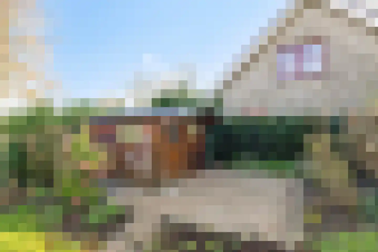 Afgeslechtedijk 29 Steenbergen thumbnail 43