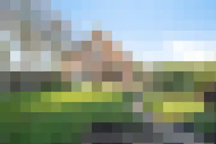 Afgeslechtedijk 29 Steenbergen thumbnail 44