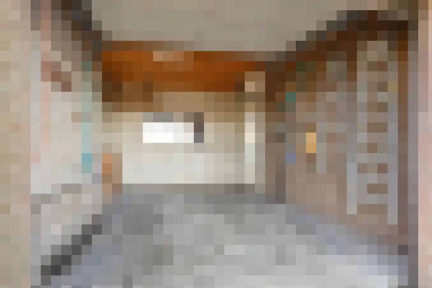 Afgeslechtedijk 29 Steenbergen thumbnail 44