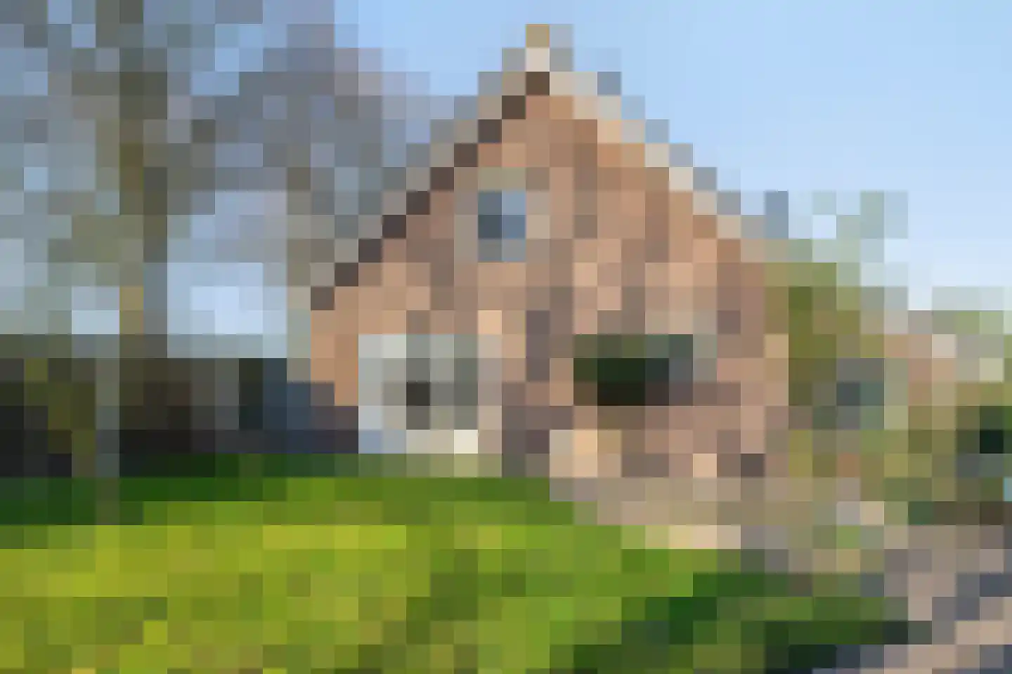 Afgeslechtedijk 29 Steenbergen thumbnail 46