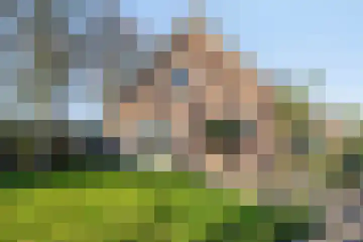 Afgeslechtedijk 29 Steenbergen thumbnail 46