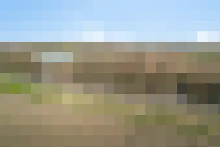 Afgeslechtedijk 29 Steenbergen thumbnail 50