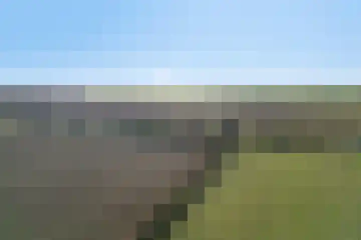 Afgeslechtedijk 29 Steenbergen thumbnail 51
