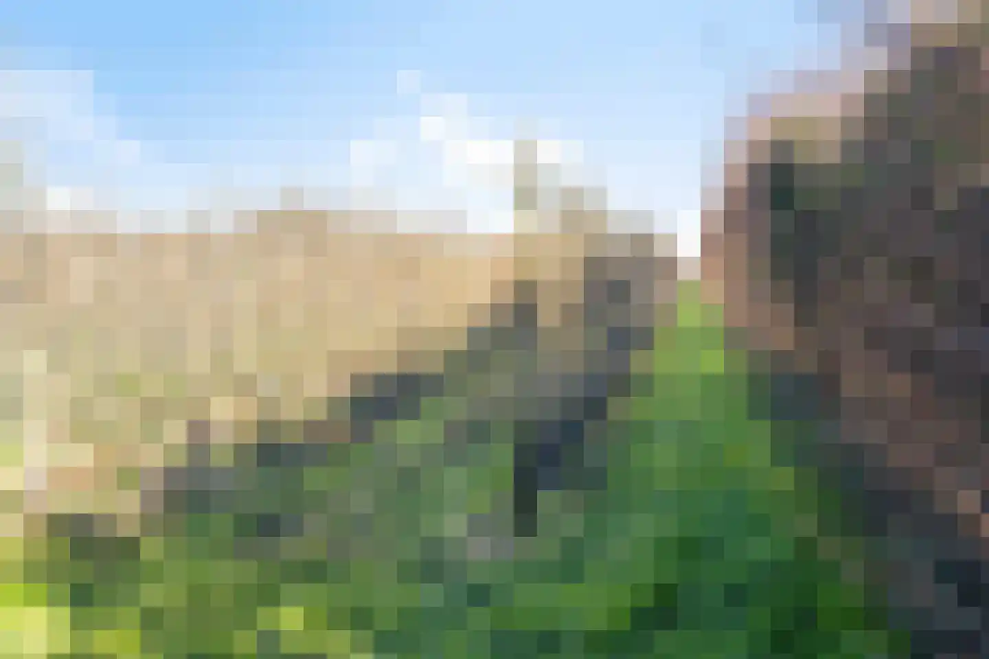 Afgeslechtedijk 29 Steenbergen thumbnail 52