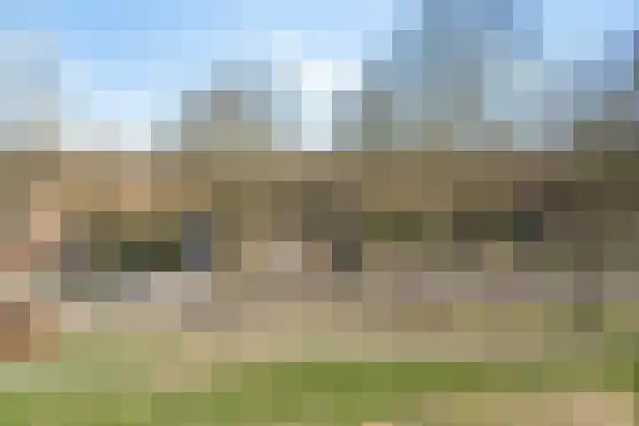Afgeslechtedijk 29 Steenbergen thumbnail 52