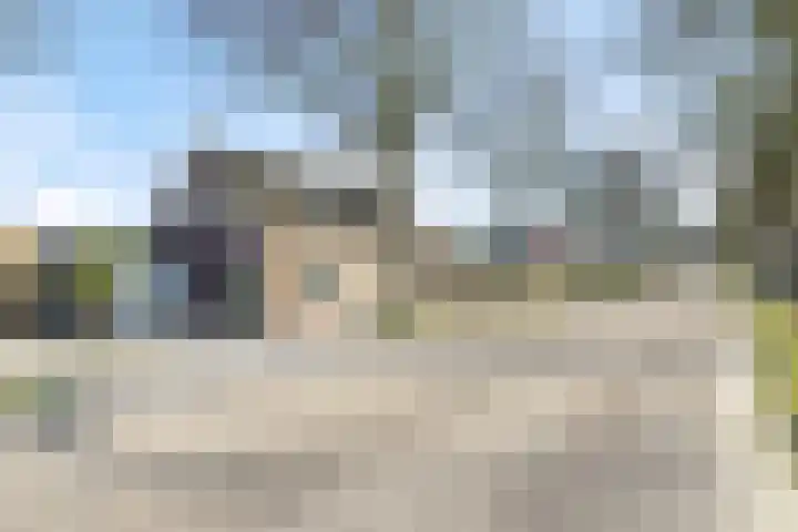 Afgeslechtedijk 29 Steenbergen thumbnail 53