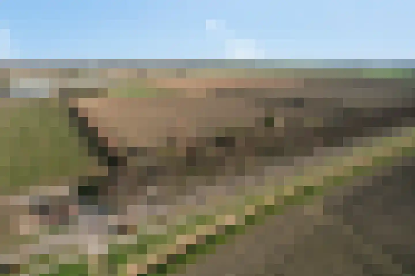 Afgeslechtedijk 29 Steenbergen thumbnail 54