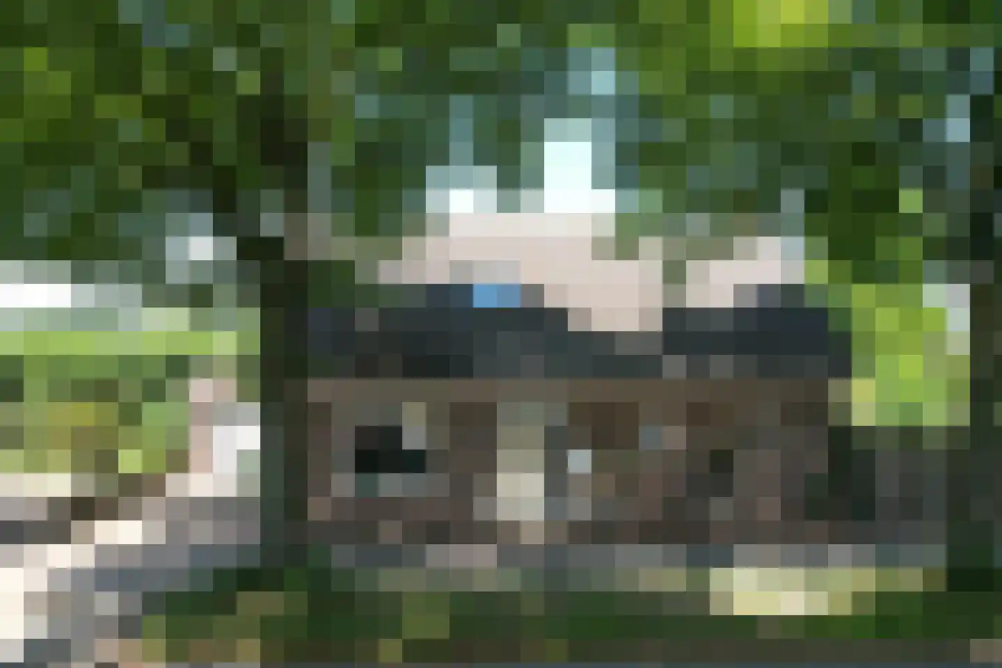 Afgeslechtedijk 29 Steenbergen thumbnail 61