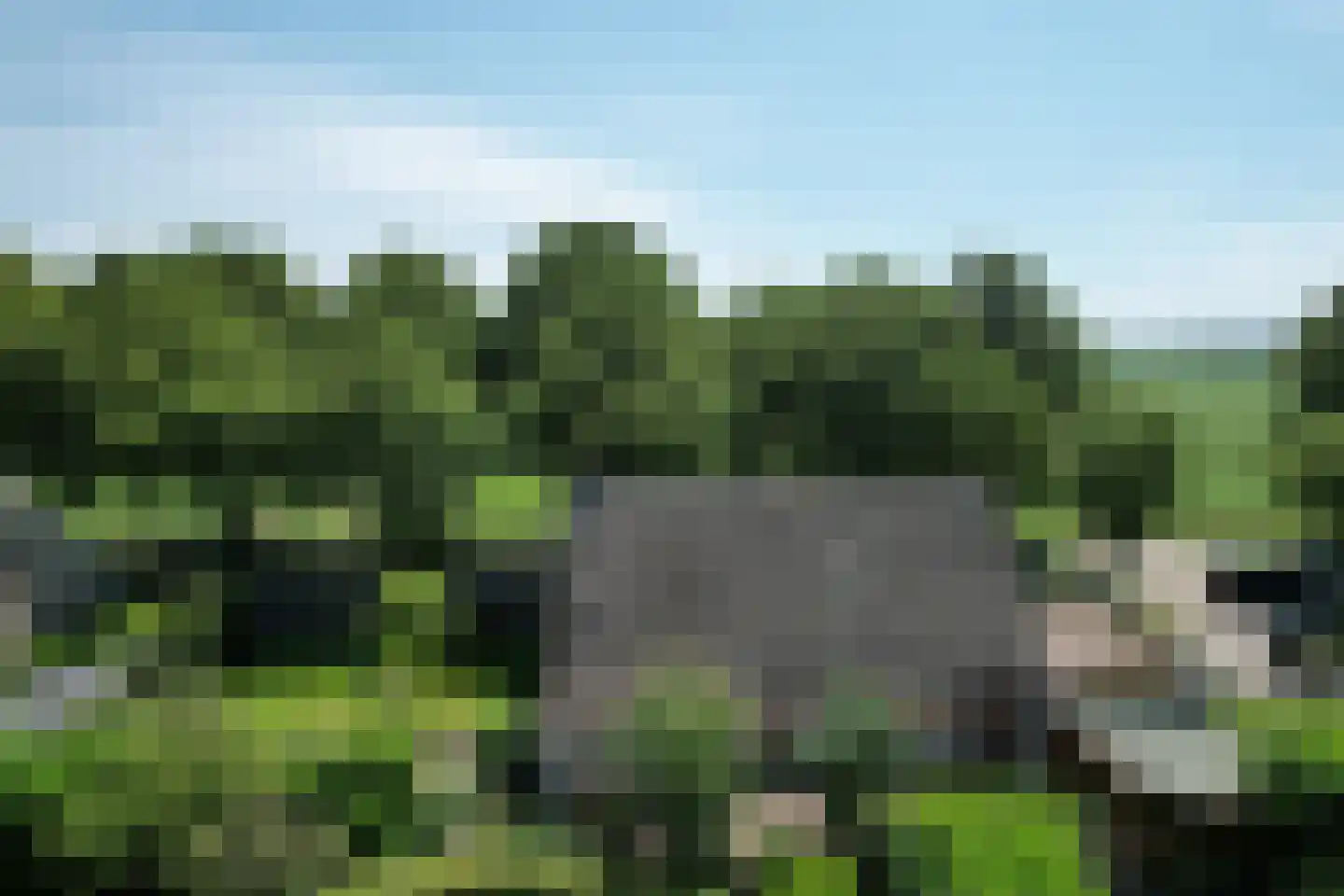 Afgeslechtedijk 29 Steenbergen thumbnail 64
