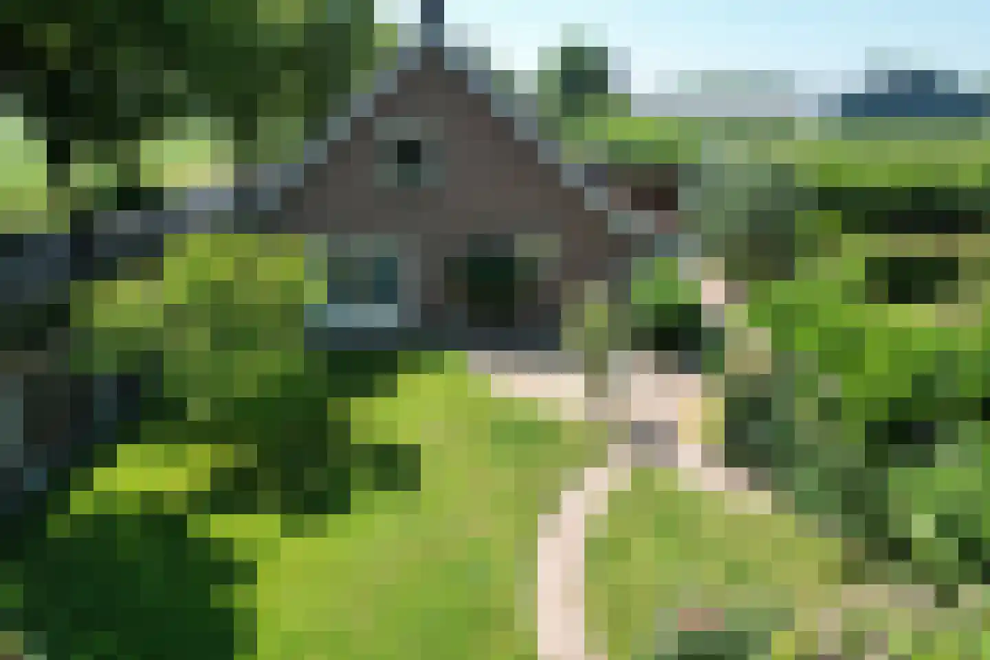 Afgeslechtedijk 29 Steenbergen thumbnail 65