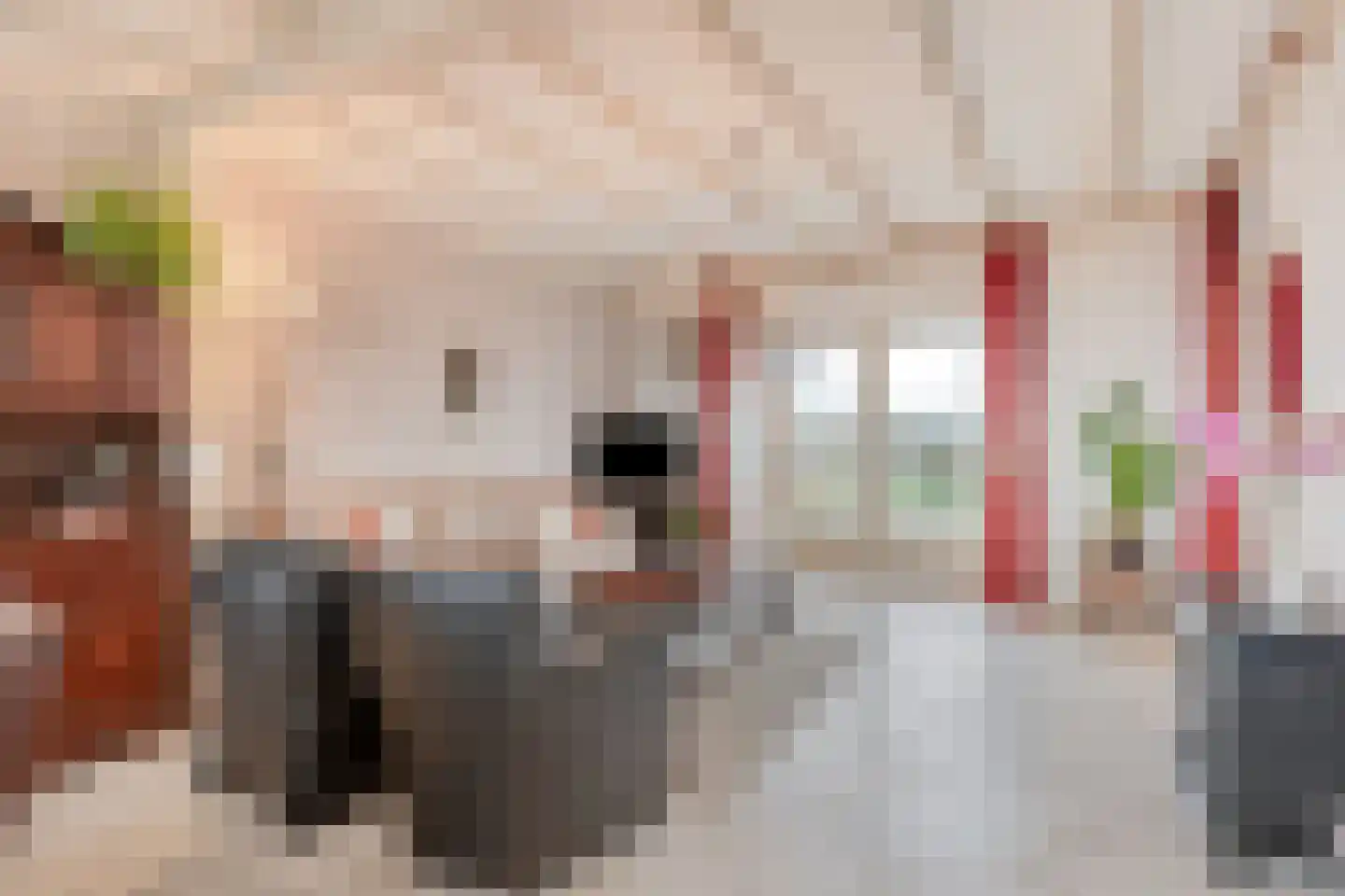 Afgeslechtedijk 29 Steenbergen thumbnail 7