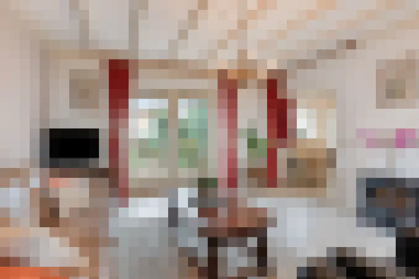 Afgeslechtedijk 29 Steenbergen thumbnail 8