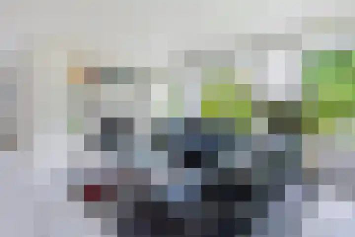Afhangweg 10 a Horst thumbnail 17