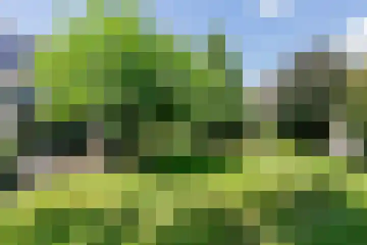 Afhangweg 10 a Horst thumbnail 37