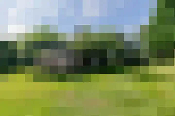 Afhangweg 10 a Horst thumbnail 39