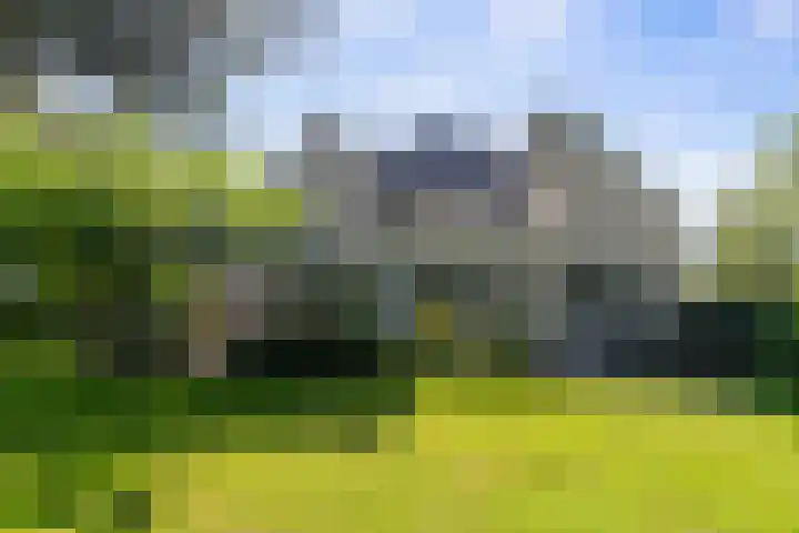Afhangweg 10 a Horst thumbnail 42