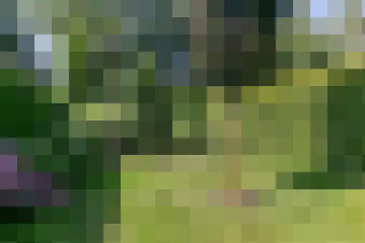 Afhangweg 10 a Horst thumbnail 49