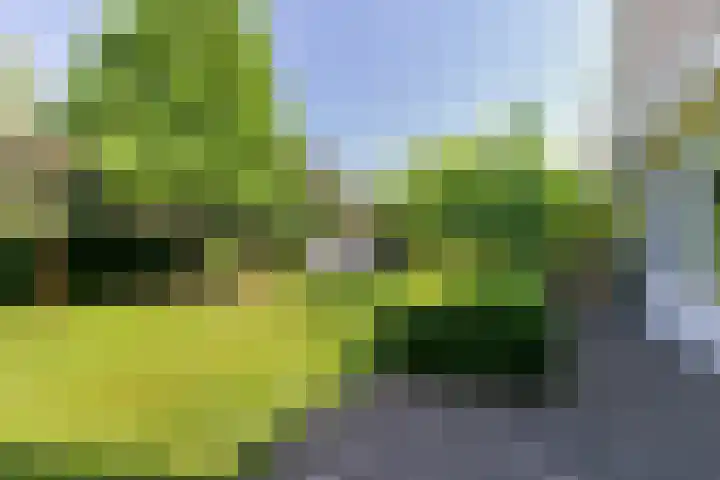 Afhangweg 10 a Horst thumbnail 50