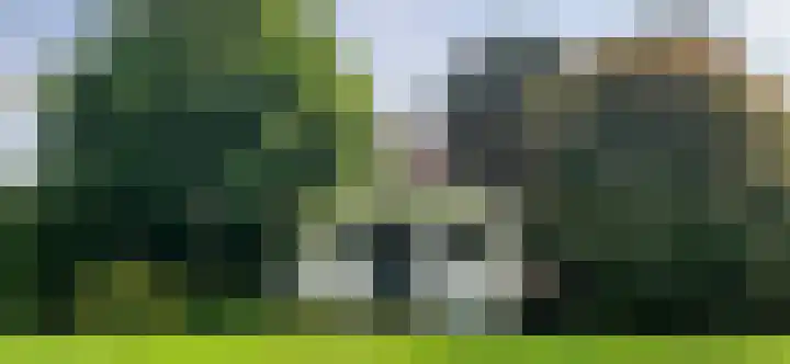 Afhangweg 10 a Horst thumbnail 51