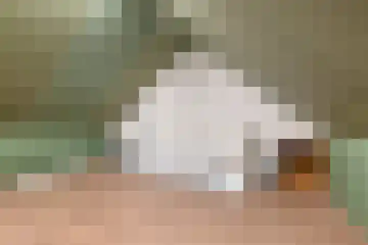 Afhangweg 8 f Horst thumbnail 35