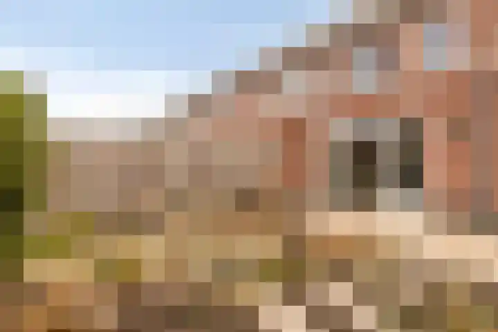 Afhangweg 8 f Horst thumbnail 39