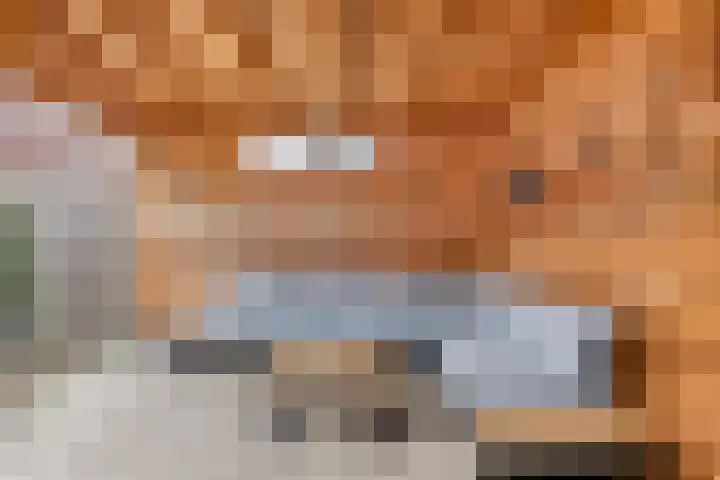 Afhangweg 8 f Horst thumbnail 43