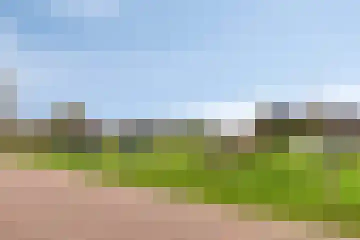 Afhangweg 8 f Horst thumbnail 46
