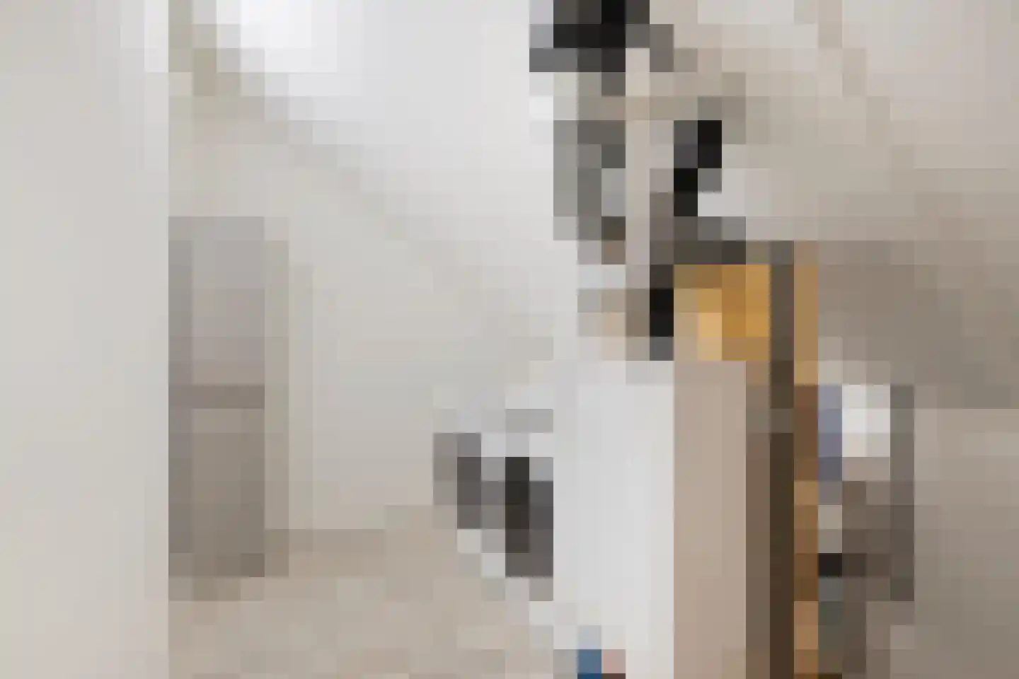 Afrikaanderstraat 30 Tilburg thumbnail 27
