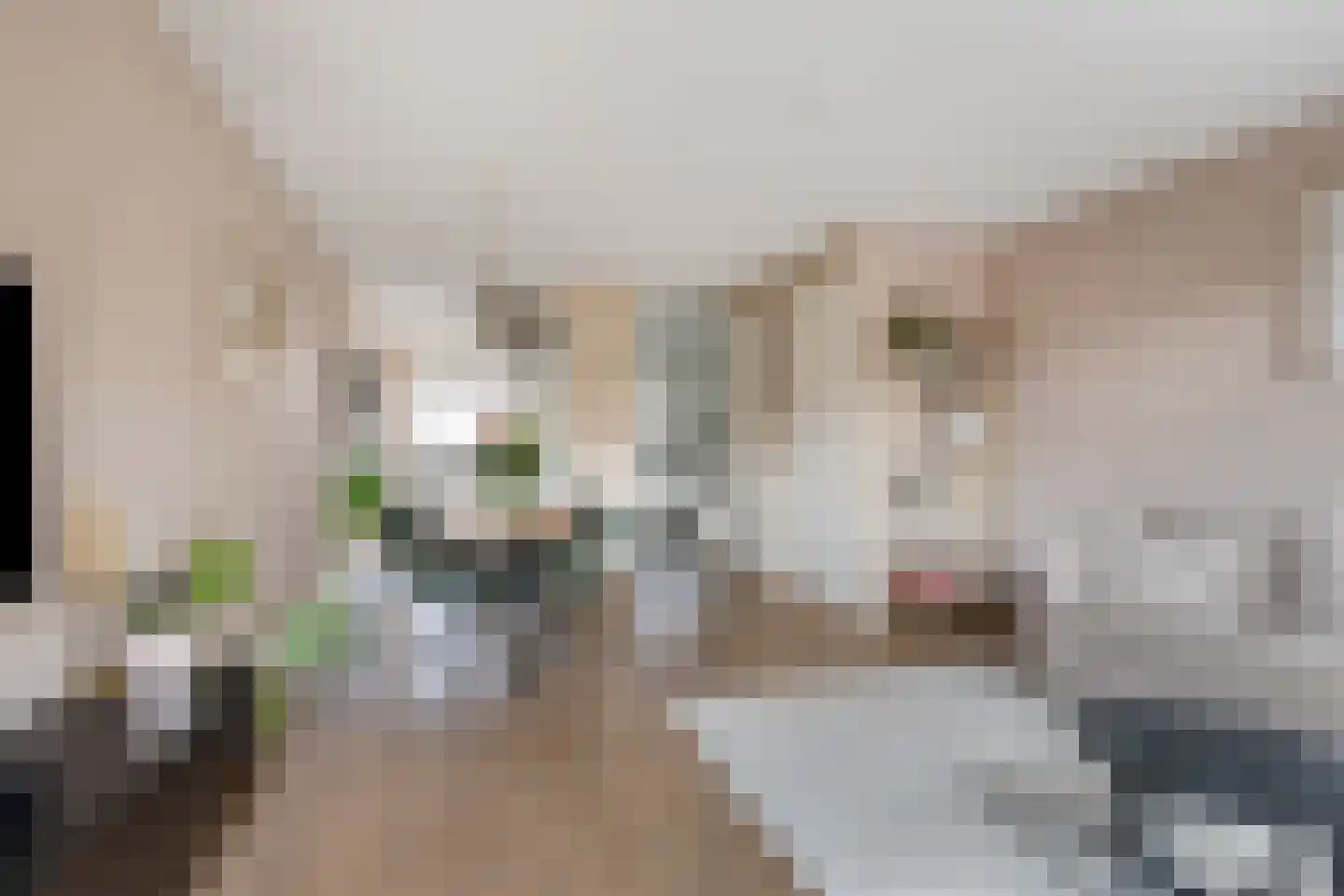 Afrikaanderstraat 30 Tilburg thumbnail 5
