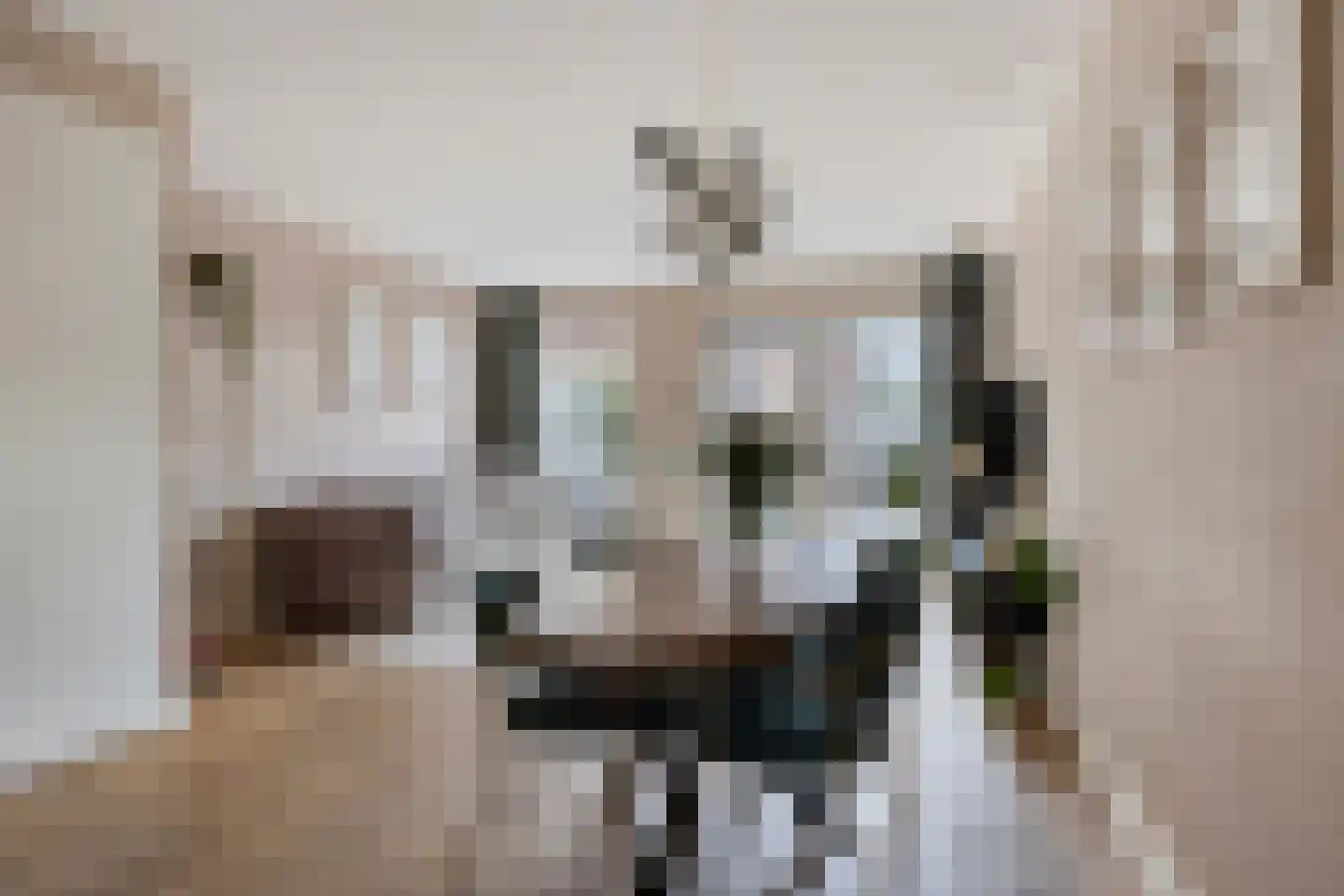 Afrikaanderstraat 30 Tilburg thumbnail 6