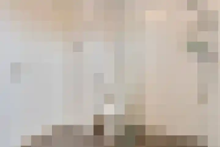Afrikaanderstraat 34 Tilburg thumbnail 26