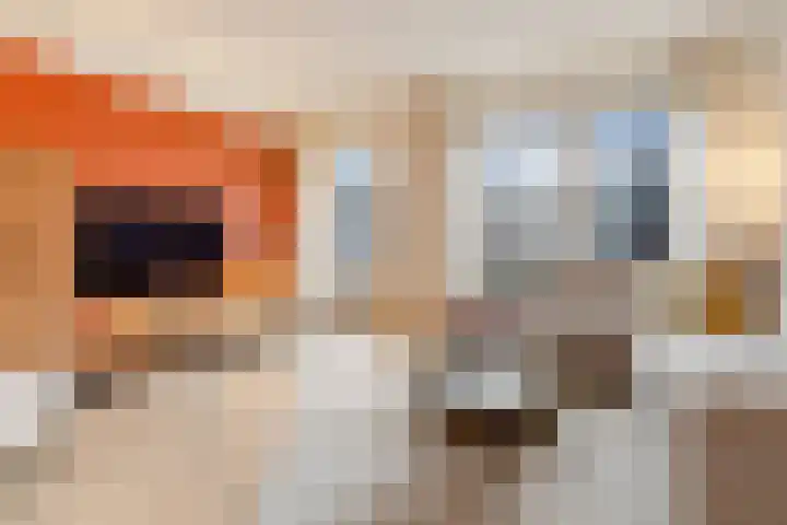 Afrikaanderstraat 34 Tilburg thumbnail 5