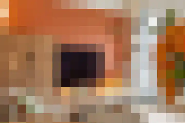 Afrikaanderstraat 34 Tilburg thumbnail 9