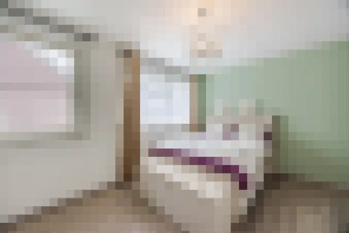 Afrikaanderstraat 4 Tilburg thumbnail 21