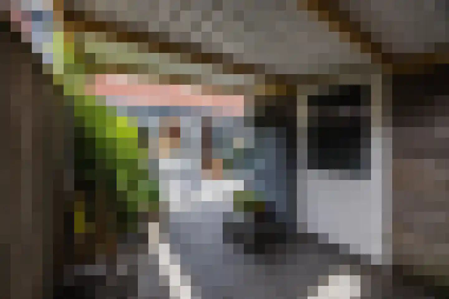 Afrikaanderstraat 4 Tilburg thumbnail 40
