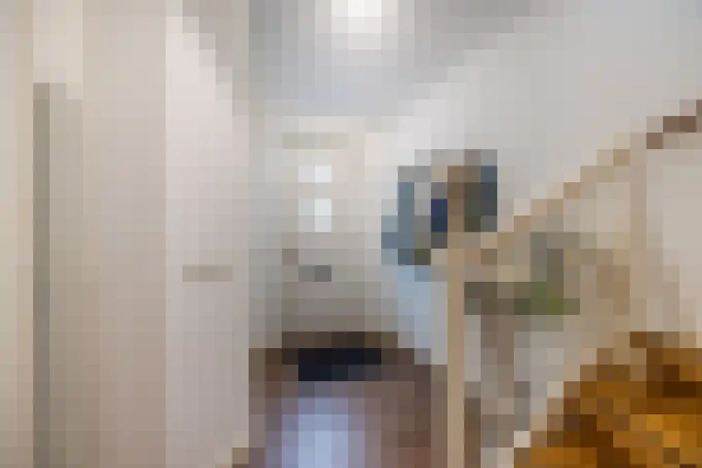Afrikaanderstraat 4 Tilburg thumbnail 7