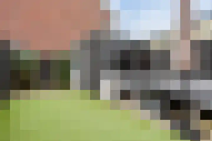 Afrikaanderstraat 40 Tilburg thumbnail 20