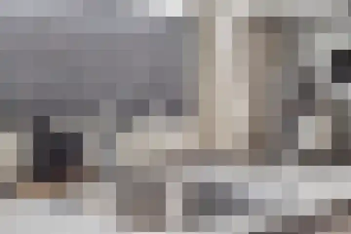 Afrikaanderstraat 40 Tilburg thumbnail 6