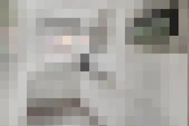 Afrikaanderstraat 6 Tilburg thumbnail 12