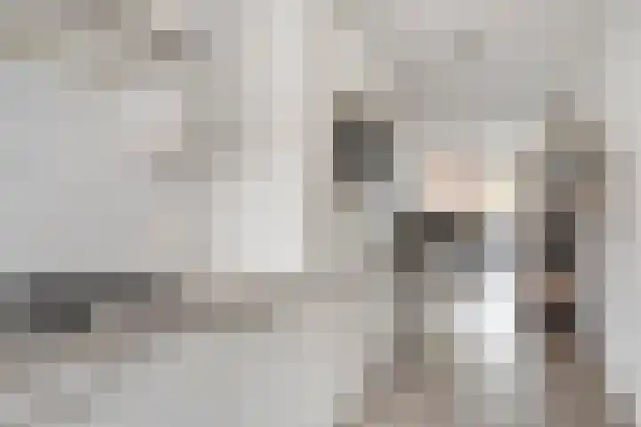 Afrikaanderstraat 6 Tilburg thumbnail 13