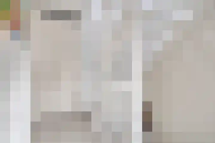 Afrikaanderstraat 6 Tilburg thumbnail 15