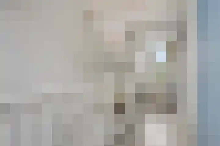 Afrikaanderstraat 6 Tilburg thumbnail 24