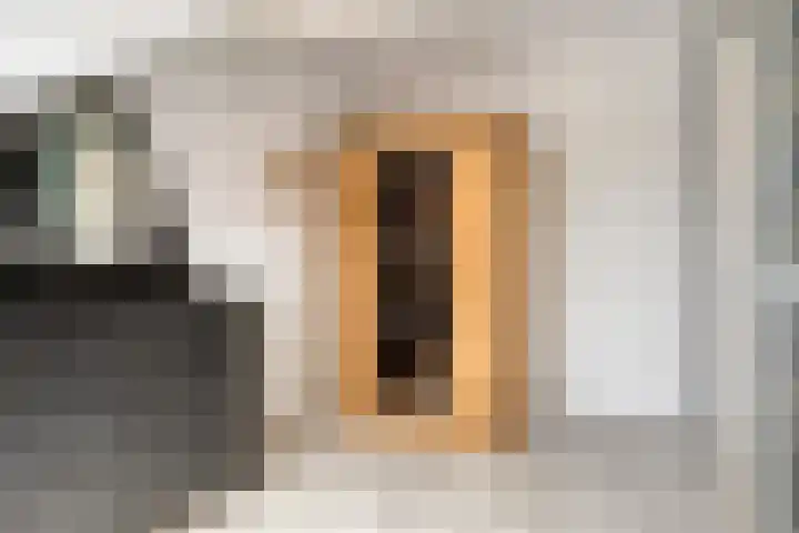 Afrikaanderstraat 6 Tilburg thumbnail 27