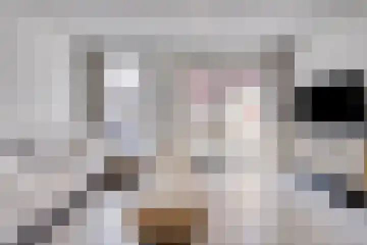 Afrikaanderstraat 62 Tilburg thumbnail 11