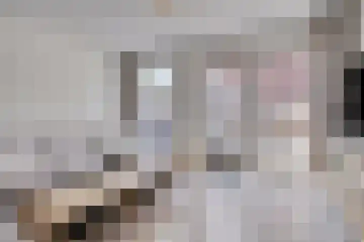 Afrikaanderstraat 62 Tilburg thumbnail 12