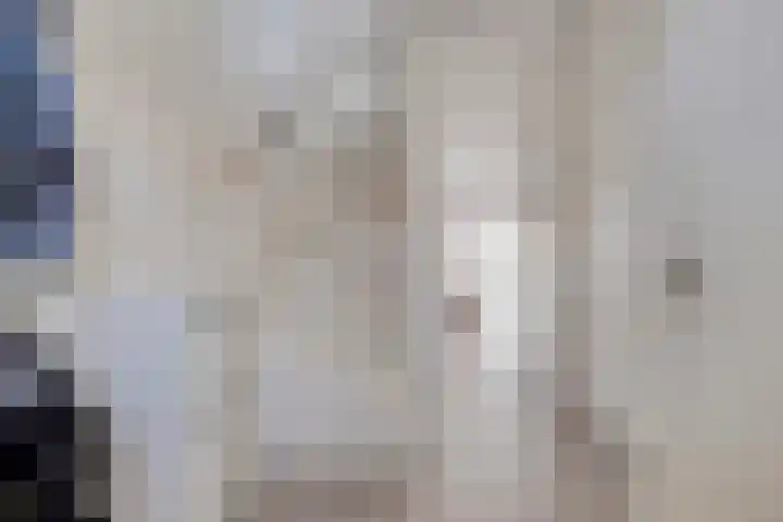 Afrikaanderstraat 62 Tilburg thumbnail 6