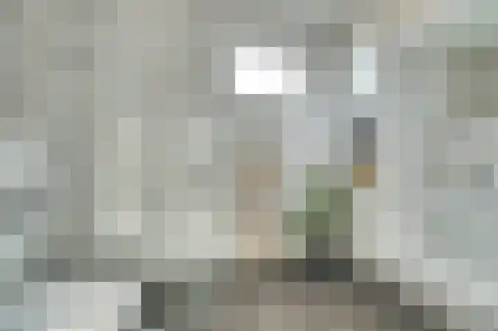 Afrikaanderstraat 78 Tilburg thumbnail 17