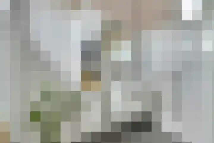 Afrikaanderstraat 78 Tilburg thumbnail 18